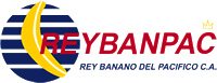 REYBANPAC